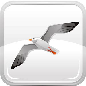 seagull assistant apk|seagull assistant for pc.